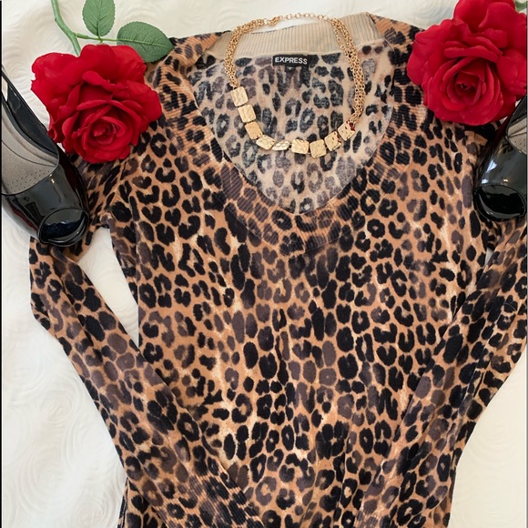 Express Sweater❤️ - Picture 1 of 4